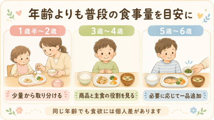 年齢・食欲別の量の考え方